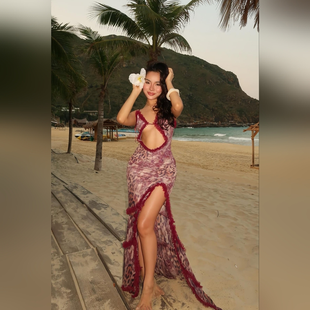 Fashion Nova Hailey Leopard Mesh Maxi Dress Red/combo
